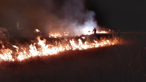 Incendi dopo i fuochi d'artificio del 2 Luglio: da chi sono stati domati?